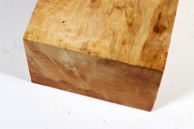 Klotz Rosskastanie 305x110x75mm - Roka0458
