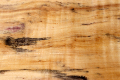 Klotz Rosskastanie 320x190x60mm - Roka0392