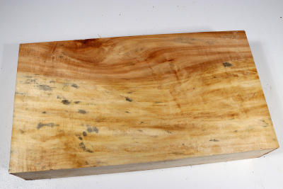 Klotz Rosskastanie 325x175x60mm - Roka0393