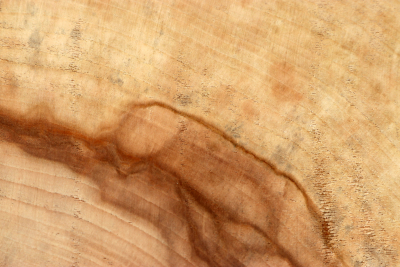 Block Horse Chestnut 270x240x115mm - Roka0486