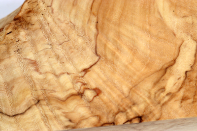 Block Horse Chestnut Burl 135x65x53mm - Roka0473