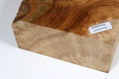 Klotz Schnurbaum 125x100x65mm - Schnu0236