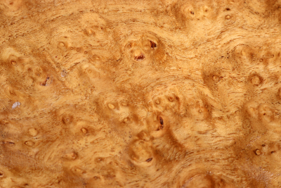 Block Japanese Pagoda Tree Burl 210x145x50mm - Schnu0284