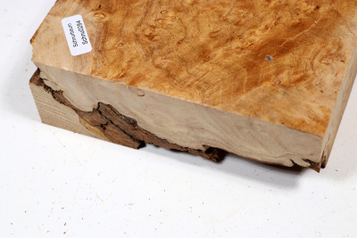 Block Japanese Pagoda Tree Burl 210x145x50mm - Schnu0284