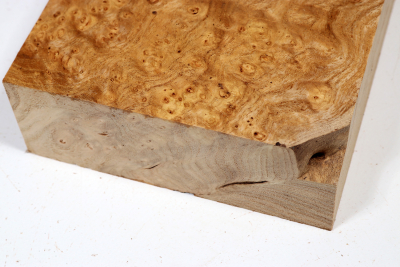 Block Japanese Pagoda Tree Burl 210x145x50mm - Schnu0284