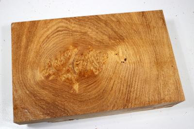 Block Japanese Pagoda Tree Burl 290x185x68mm - Schnu0285