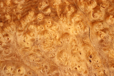 Block Japanese Pagoda Tree Burl 290x185x68mm - Schnu0285