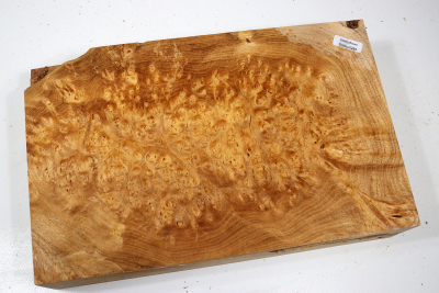 Block Japanese Pagoda Tree Burl 290x185x68mm - Schnu0285