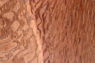 Klotz Steineiche 150x150x60mm - SteiEi0432