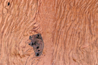 Klotz Steineiche 200x200x55mm - SteiEi0434