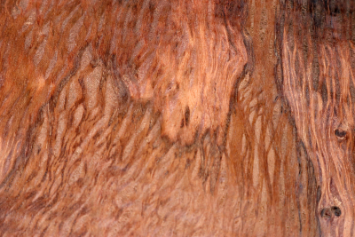 Klotz Steineiche 200x200x55mm - SteiEi0437