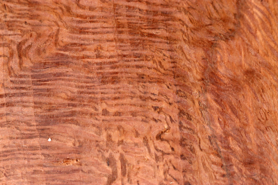 Square Holm Oak 200x200x55mm - SteiEi0436