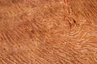 Klotz Steineiche 250x205x53mm - SteiEi0448