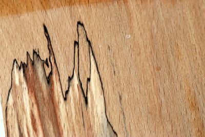 Block Beech spalted 195x185x60mm - GestBu0510