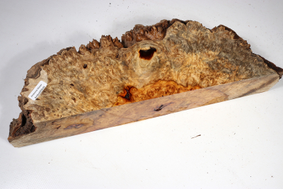 Burl Slab Amboyna Burl Sapwood 340x120x65mm- AmboM0649