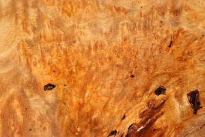 Burl Slab Anthill Burl 270x270x55mm- Anth0044