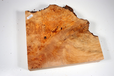 Burl Slab Anthill Burl 270x270x55mm- Anth0044