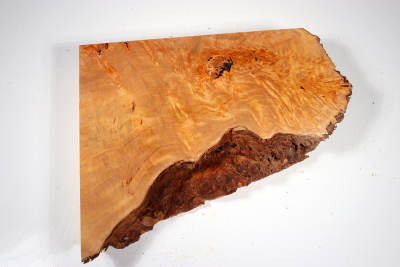 Burl Slab Anthill Burl 300x230x53mm- Anth0043