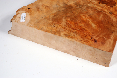 Burl Slab Anthill Burl 300x230x53mm- Anth0043