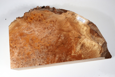 Burl Slab Anthill Burl 310x190x85mm- Anth0034