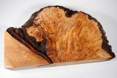 Burl Slab Anthill Burl 350x210x80mm- Anth0037