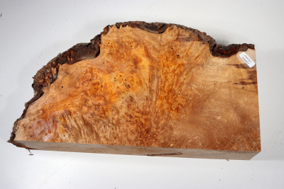 Burl Slab Anthill Burl 350x210x80mm- Anth0037