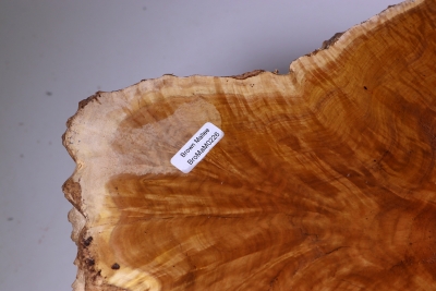 Burl Cap Brown Mallee Burl 530x320x120mm - BroMaM0226