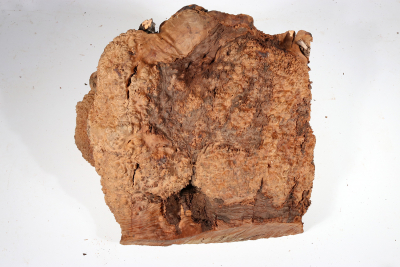 Burl Slab Bruyere Burl 350x250x220mm - BruyM0213