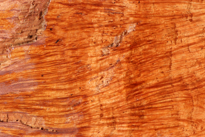 Burl Slab Bruyere Burl 350x250x220mm - BruyM0213