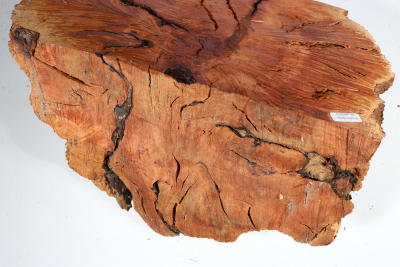 Burl Slab Bruyere Burl 350x250x220mm - BruyM0213