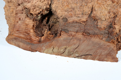 Burl Slab Bruyere Burl 350x250x220mm - BruyM0213