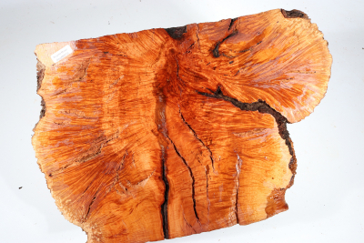 Burl Slab Bruyere Burl 350x250x220mm - BruyM0213