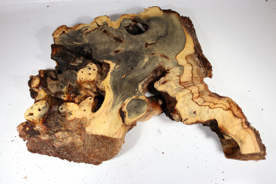 Burl Slab Buckeye Burl 520x380x65mm - Buck0135