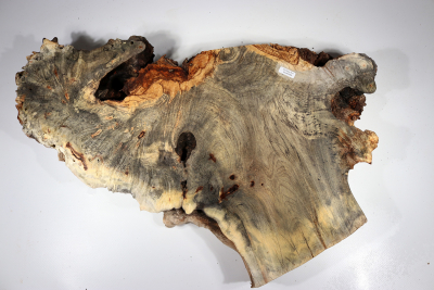 Burl Slab Buckeye Burl 560x350x70mm - Buck0089