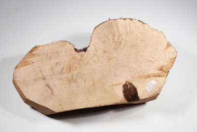 Burl Cap Canistel Burl 340x190x110mm - CanisM0076