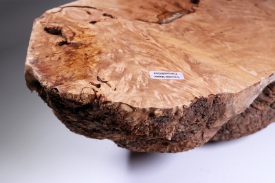 Burl Cap Canistel Burl 340x190x130mm - CanisM0044