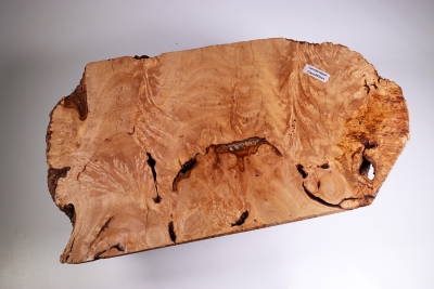 Burl Cap Canistel Burl 340x190x130mm - CanisM0044