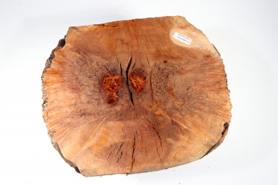 Burl Cap Chechen Burl 240x210x120mm - ChechM0139