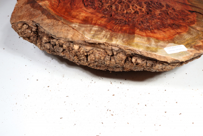 Burl Cap Chechen Burl 290x170x85mm - ChechM0250