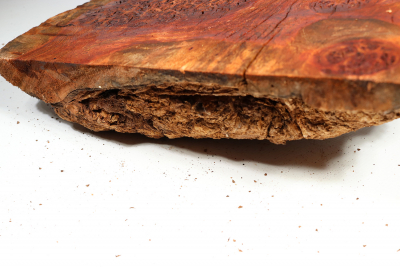 Burl Cap Chechen Burl 290x170x85mm - ChechM0250