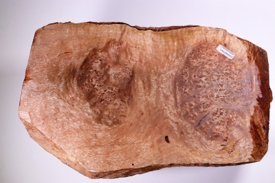 Burl Cap Chechen Burl 330x200x110mm - ChechM0052