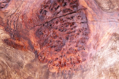 Burl Cap Chechen Burl 460x330x140mm - ChechM0027