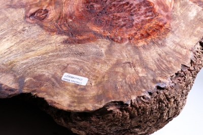 Burl Cap Chechen Burl 460x330x140mm - ChechM0027