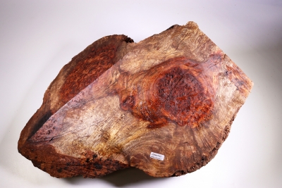 Burl Cap Chechen Burl 460x330x140mm - ChechM0027