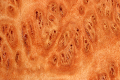 Burl Cap Coolibah 460x430x115mm - Cool0112