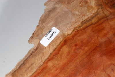 Burl Cap Coolibah 460x430x115mm - Cool0112