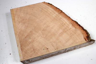 Hornbeam Burl 200x165x65mm - GestBu0629