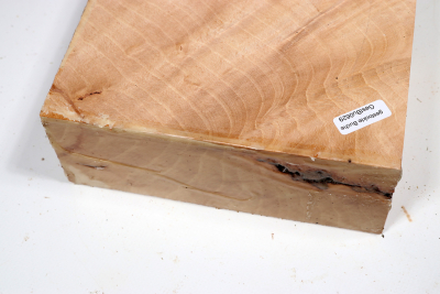 Hornbeam Burl 200x165x65mm - GestBu0629