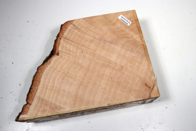 Hornbeam Burl 200x165x65mm - GestBu0629
