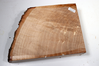 Hornbeam Burl 220x170x60mm - GestBu0617